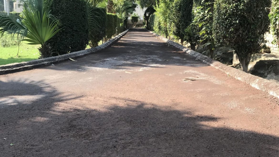 2019_11_23_13_01_IMG_2531