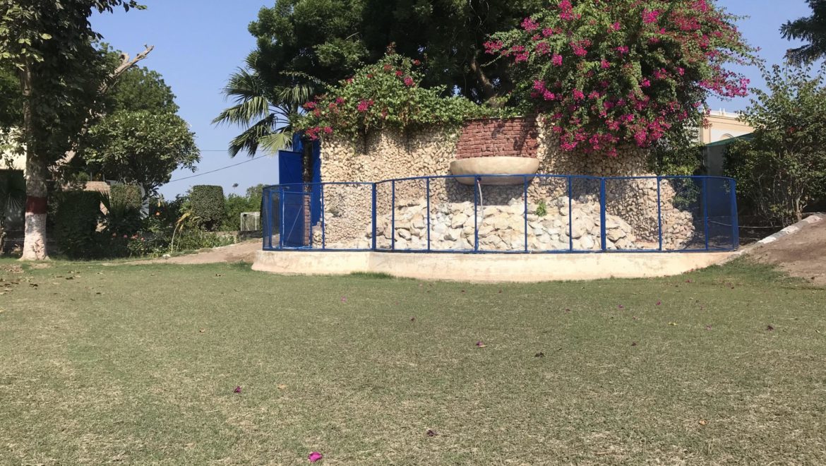 2019_11_23_13_02_IMG_2535